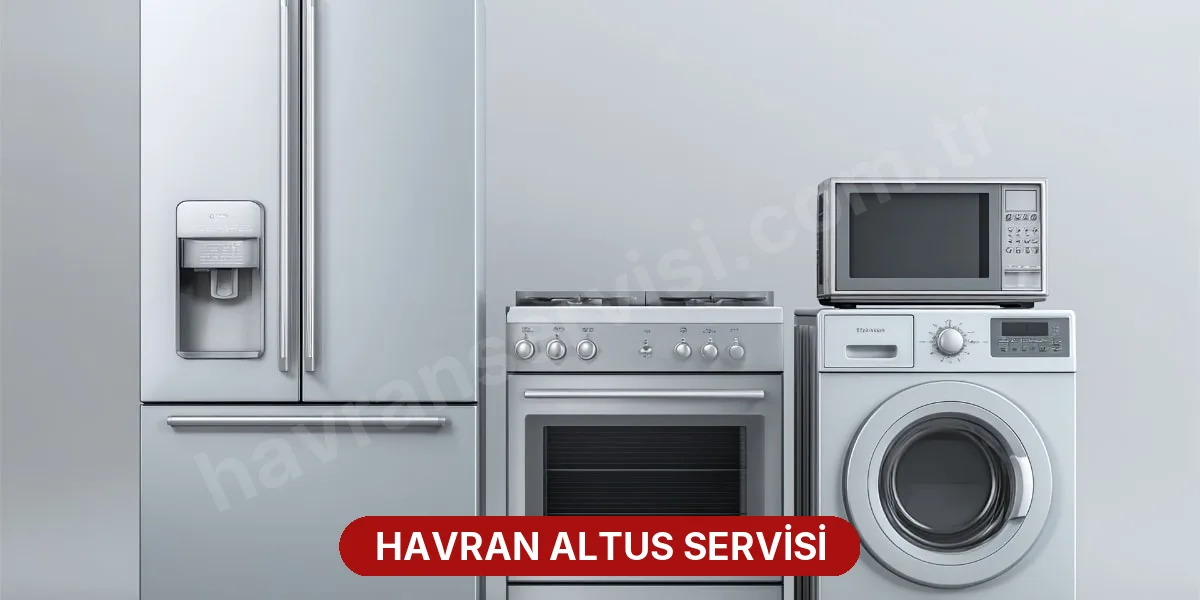 Havran Altus Servisi