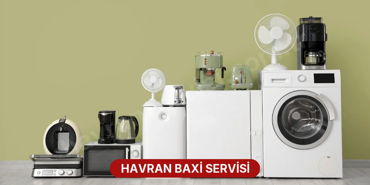 Havran Baxi Servisi