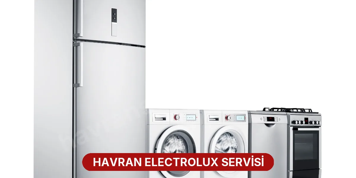 Havran Electrolux Servisi