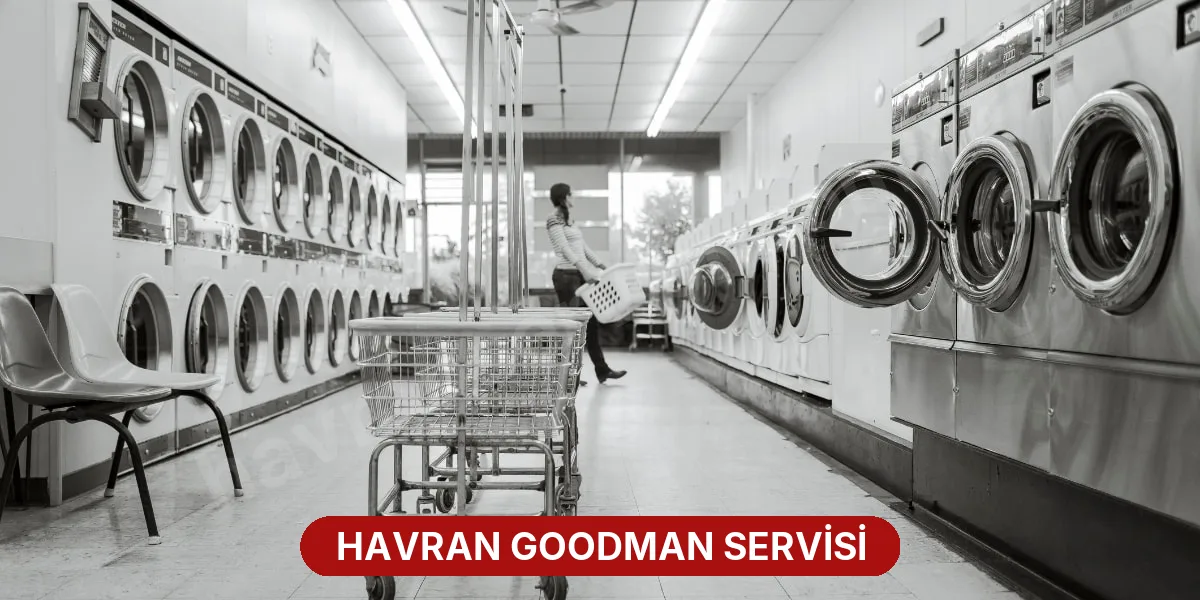 Havran Goodman Servisi