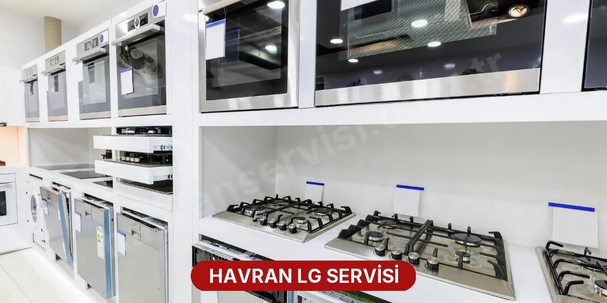 Havran LG Servisi