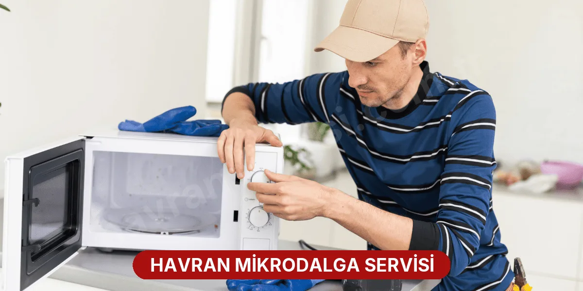 Havran Mikrodalga Servisi