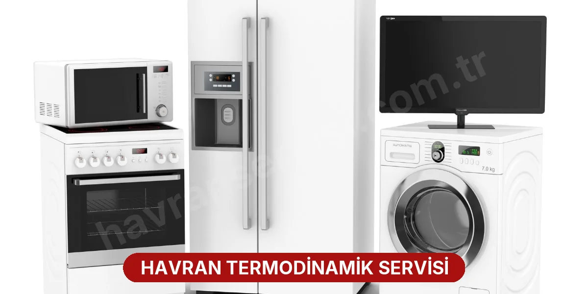Havran Termodinamik Servisi