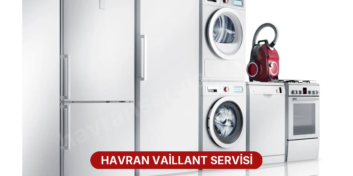 Havran Vaillant Servisi