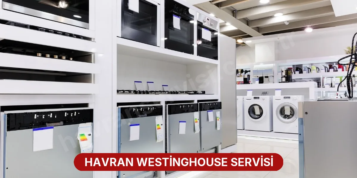 Havran Westinghouse Servisi