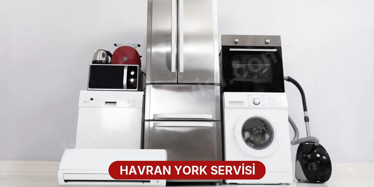 Havran York Servisi
